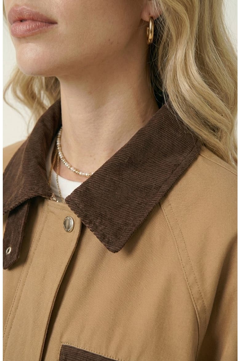 Cropped Contrast Collar Utility Jacket, Alternate, color, Tan / Brown