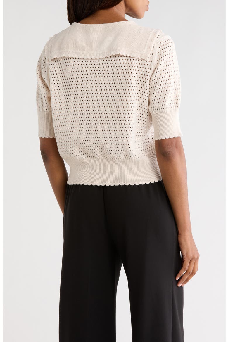 Fern Open Knit Sweater, Alternate, color, BEIGE