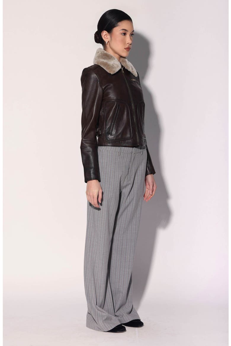 Liza Leather Fur Jacket, Alternate, color, Brown