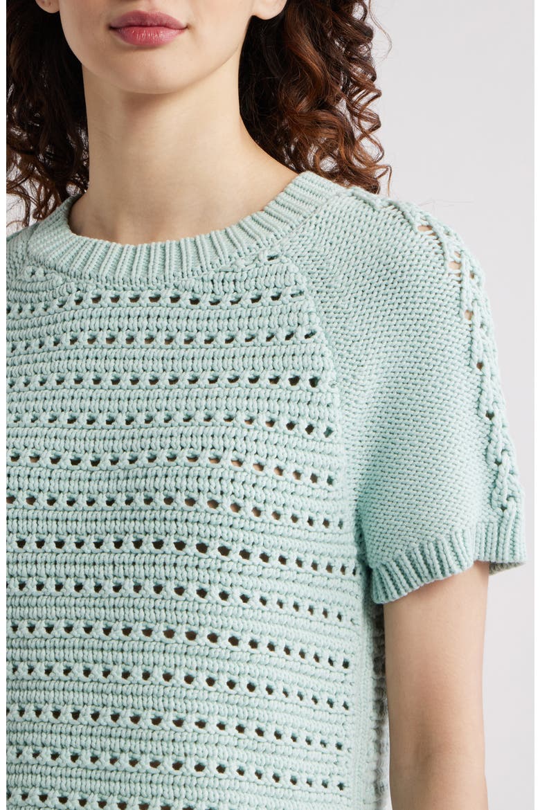 Pointelle Raglan Sleeve Sweater, Alternate, color, TEAL TIDE