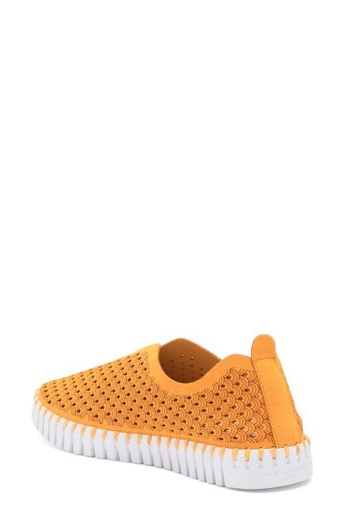 Ilse Jacobsen Tulip 139 Perforated Slip-on Sneaker