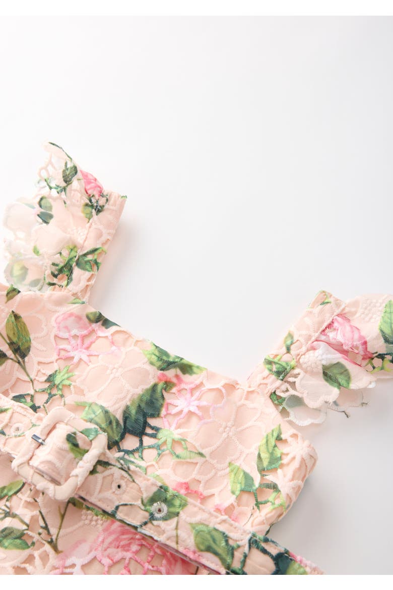 Leonora Embroidered Mini Dress, Alternate, color, Floral