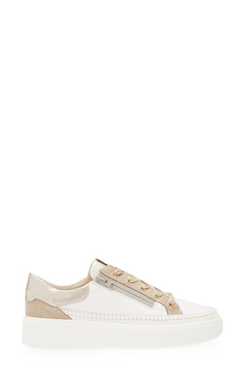 Ron White Ozella Low Top Sneaker In Fawn
