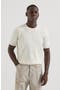 selected Ivory