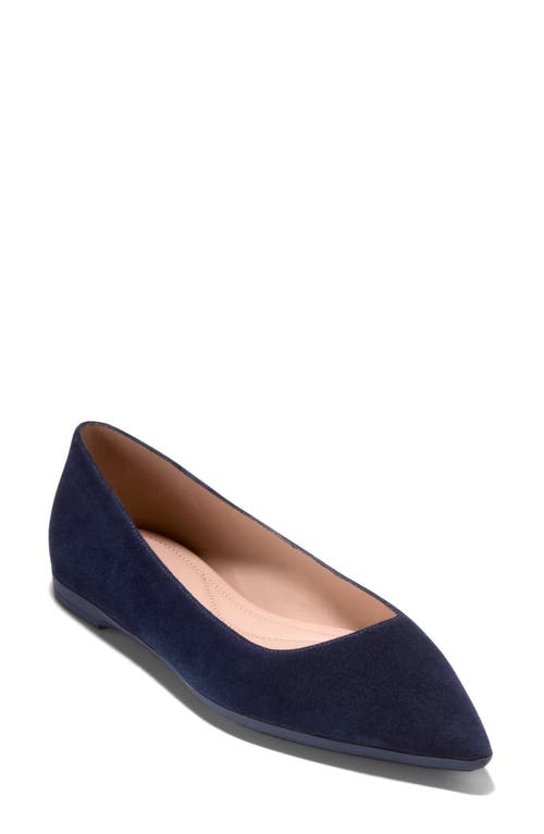 Cole Haan Grand Ambition 2.0 Ballet Flat In Brown