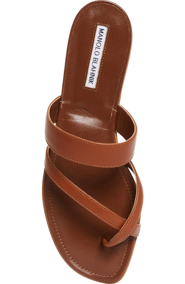 Manolo Blahnik Susa Sandal, Alternate, color, Brown