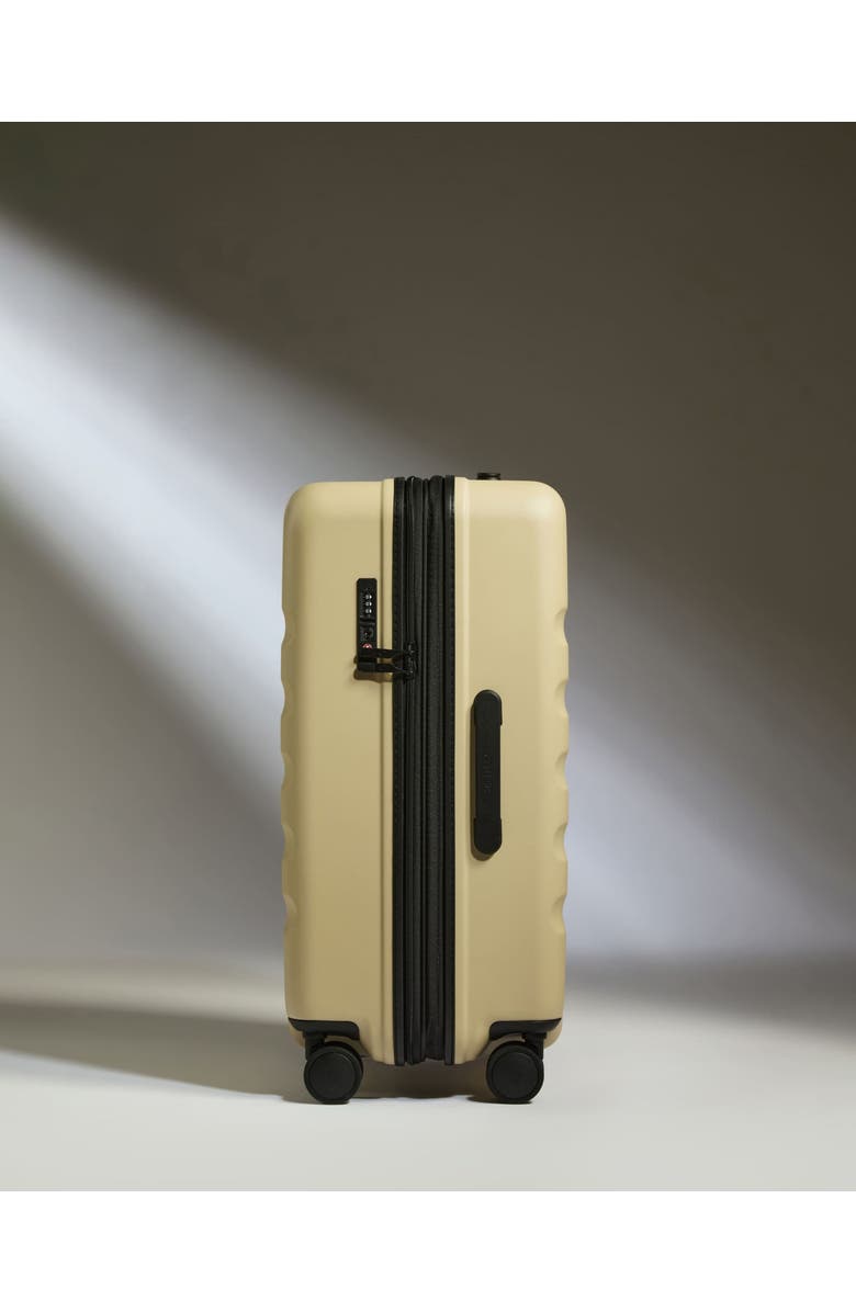 ANTLER Medium Luggage - Icon Stripe, Alternate, color, Dune