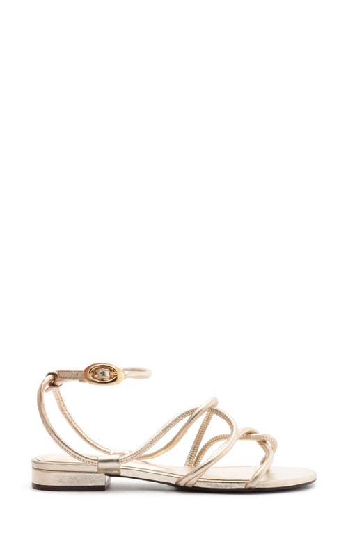 Arezzo Anna Ankle Strap Sandal In Silver