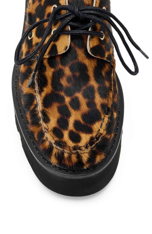 Allsaints Aastha Genuine Calf Hair Platform Boat Shoe In Multi