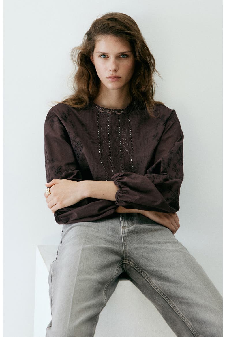 Crystal Embroidered Long Sleeve Shirt, Alternate, color, BROWN