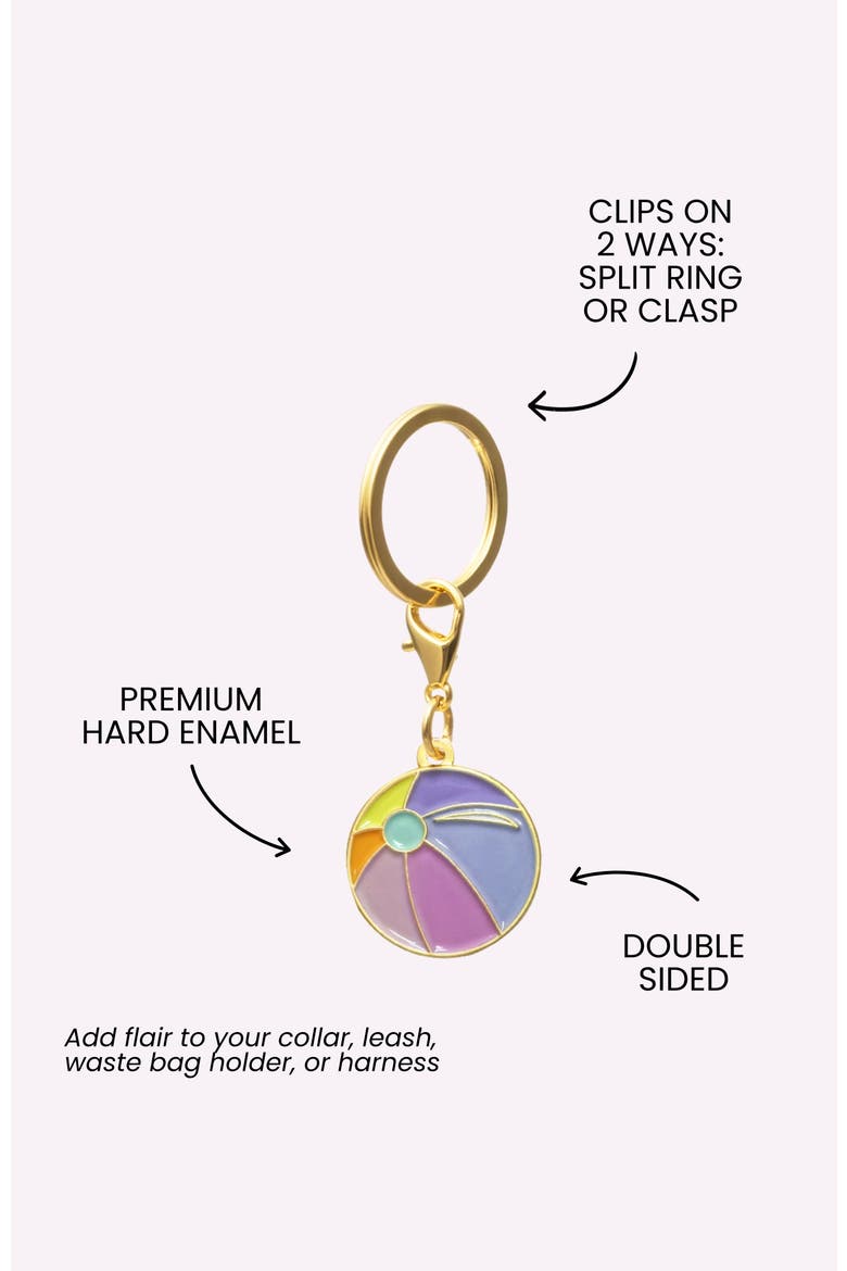Beach Ball Pet Collar Charm, Alternate, color, Beach Ball