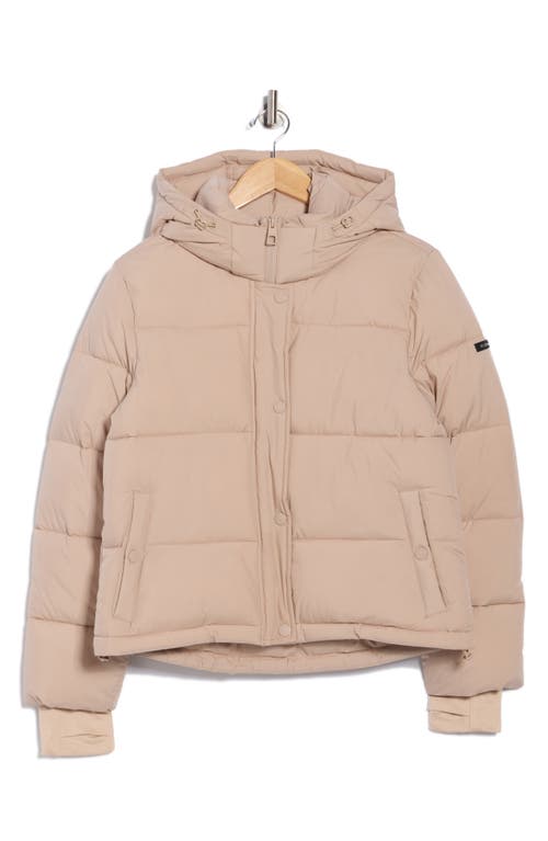 Bcbgeneration Missy Hooded Water Resistant Crop Puffer Jacket In Neutral