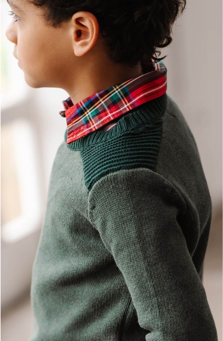 Hope & Henry Boys' Organic Shoulder Detail Crew Neck Sweater, Kids, Alternate, color, 