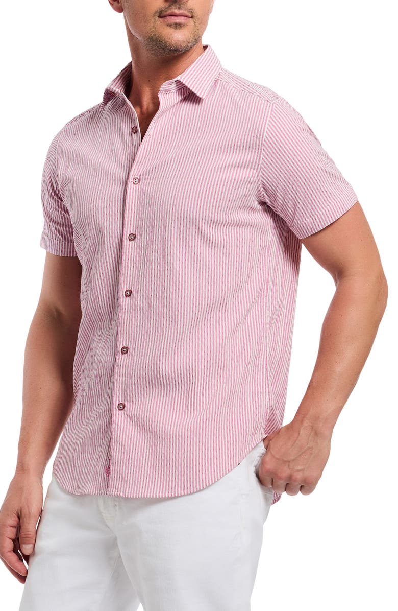 Robert Graham Fornillo Classic Fit Stripe Short Sleeve Button-Up Shirt, Alternate, color, Berry