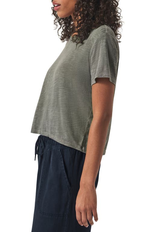 Splendid Lousia Short Sleeve T-shirt In Soft Vob