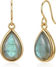 st. Moran 14k Gold Plated Teardrop Stone Drop Earrings
