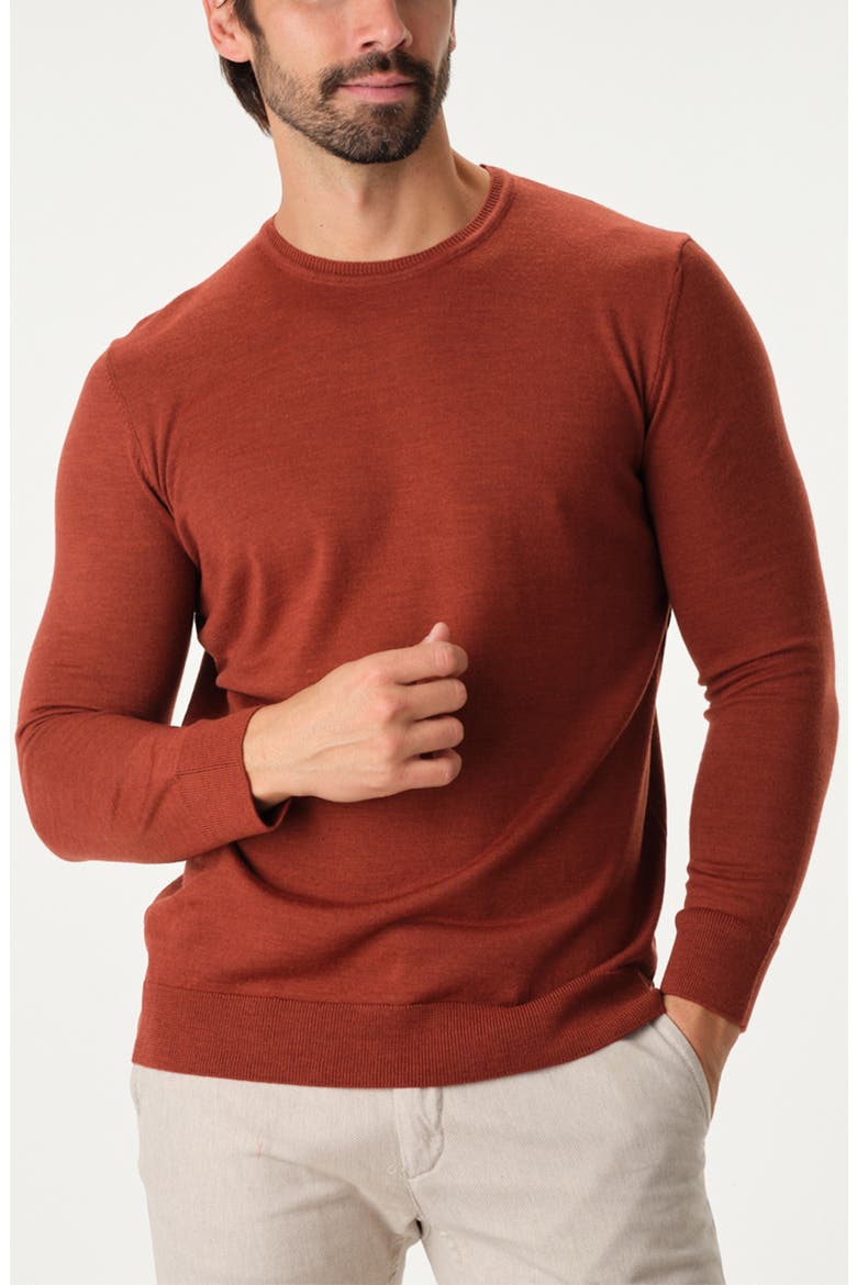 The Featherweight Merino Crewneck Sweater, Alternate, color, RUST