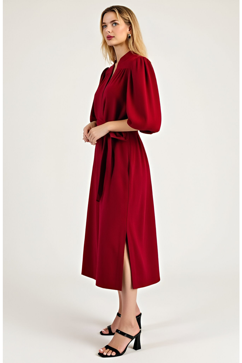 Short Sleeve Mini Dress with Belted Waist and Utility Pockets, Alternate, color, Dark Red