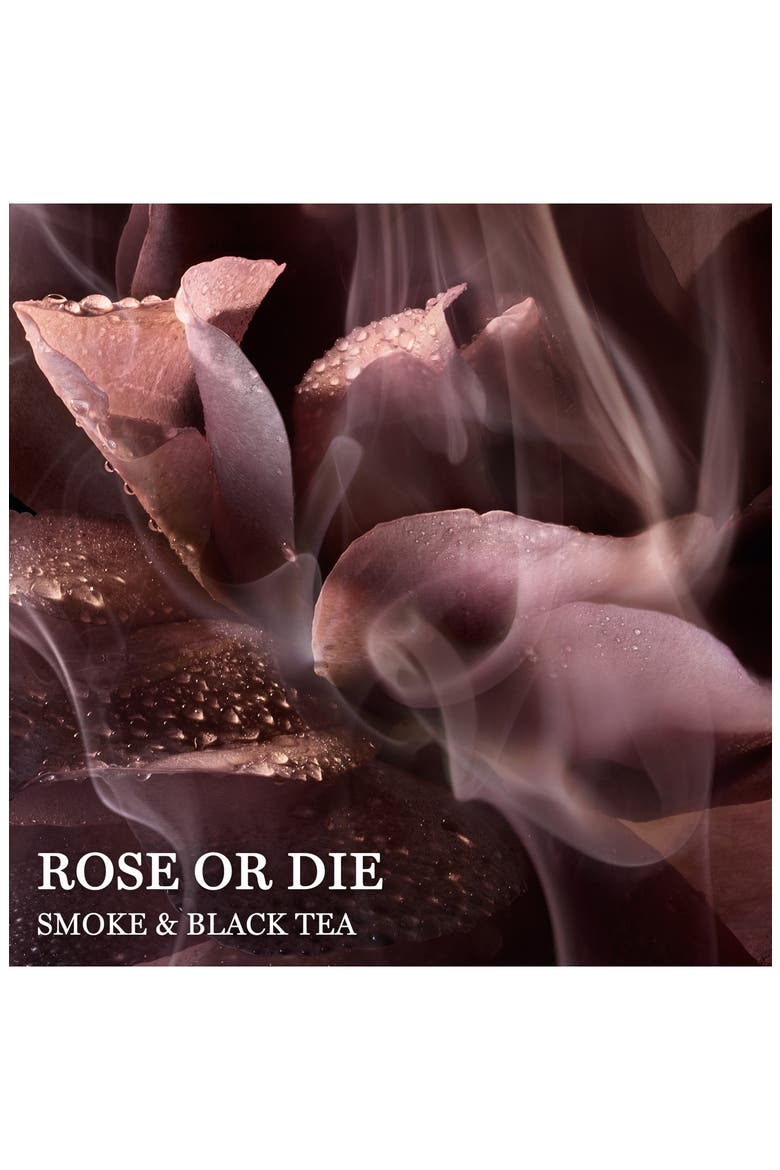 Absolue Rose or Die Eau de Parfum, Alternate, color, NO COLOR