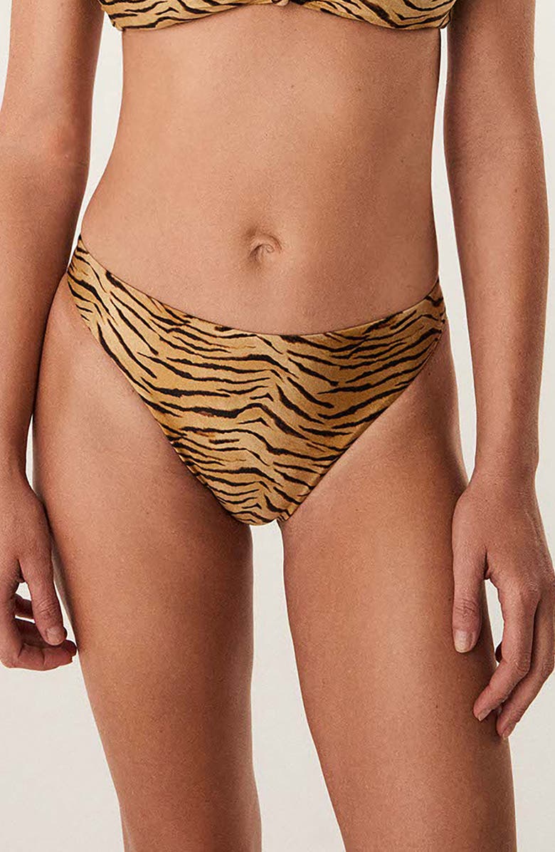 ViX Paula Hermanny Lindsay Tiger Print Bikini Bottoms, Main, color, Multi