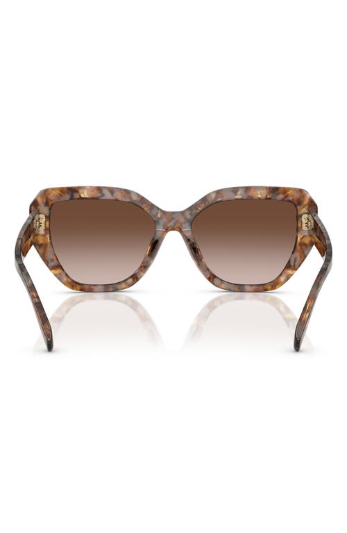 Tory Burch 55mm Cat Eye Sunglasses
