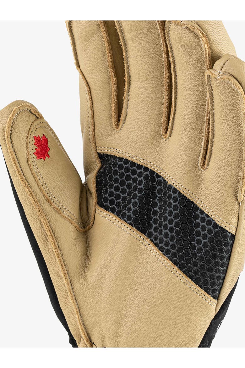 Icecrusher Gtx Warm Gloves, Alternate, color, BEIGE/BLACK