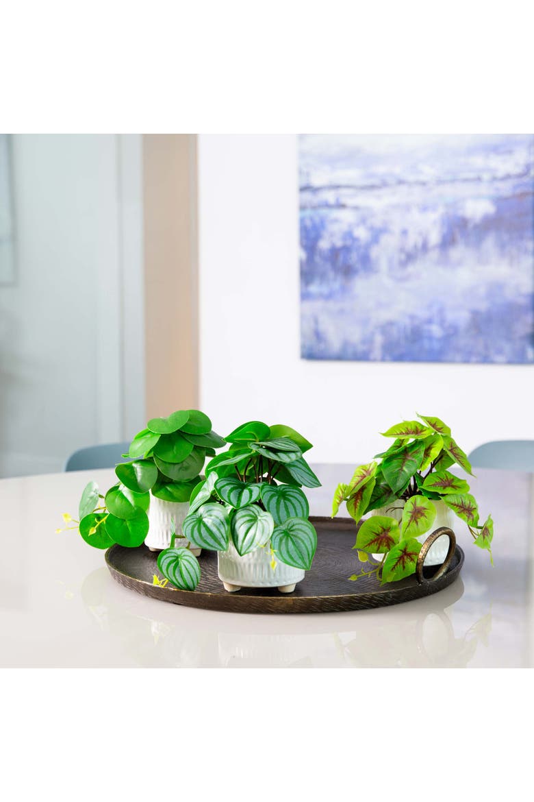 8-in Artificial Mixed Greens in Ceramic Planter- Set of 3, Alternate, color, Green