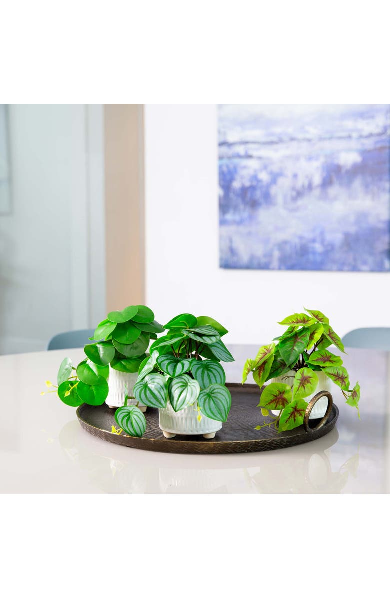 NEARLY NATURAL 8-in Artificial Mixed Greens in Ceramic Planter- Set of 3, Alternate, color, Green