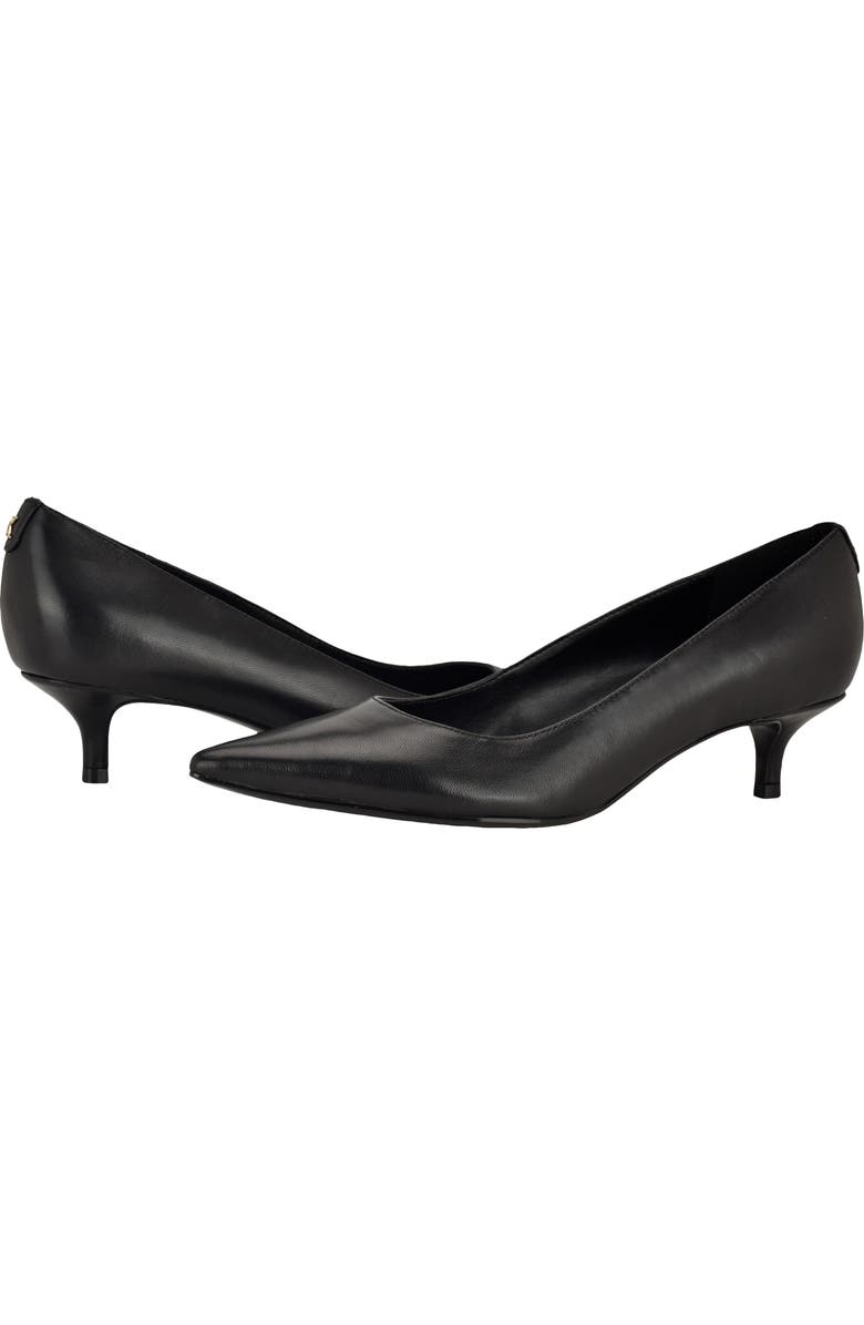 Calvin Klein Roxanna Pointed Toe Kitten Heel Pump, Alternate, color, Black Leather