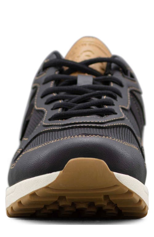 Lee Oxford Sneaker In Purple