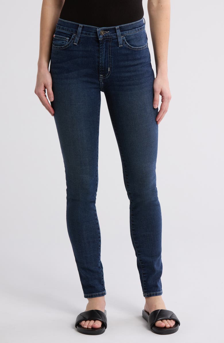Hudson Jeans Blair High Waist Super Skinny Jeans, Main, color, 