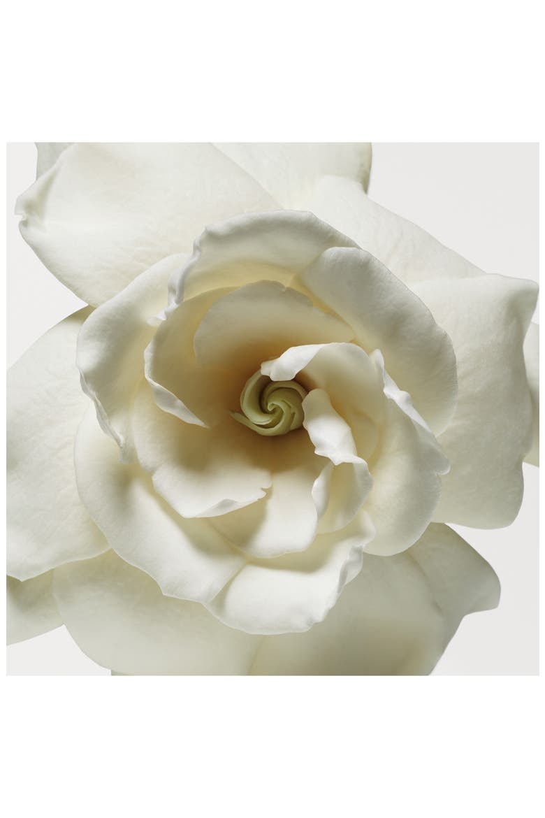 Cashmere Mist Eau de Parfum Gift Set $198 Value, Alternate, color, NO COLOR