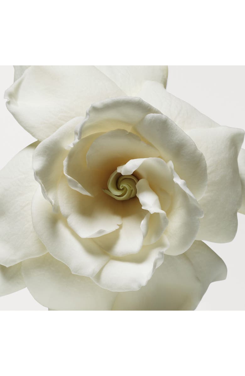 Donna Karan New York Cashmere Mist Eau de Parfum Gift Set $198 Value, Alternate, color,