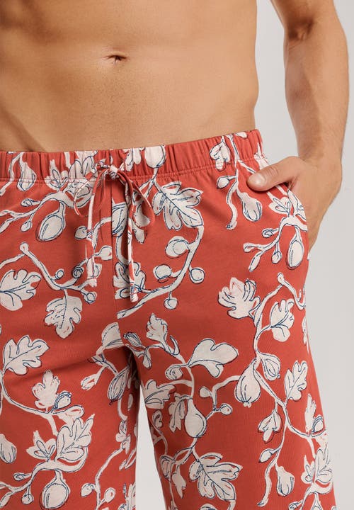 Hanro Night And Day Drawstring Cotton Shorts In Mediterranean Botanics