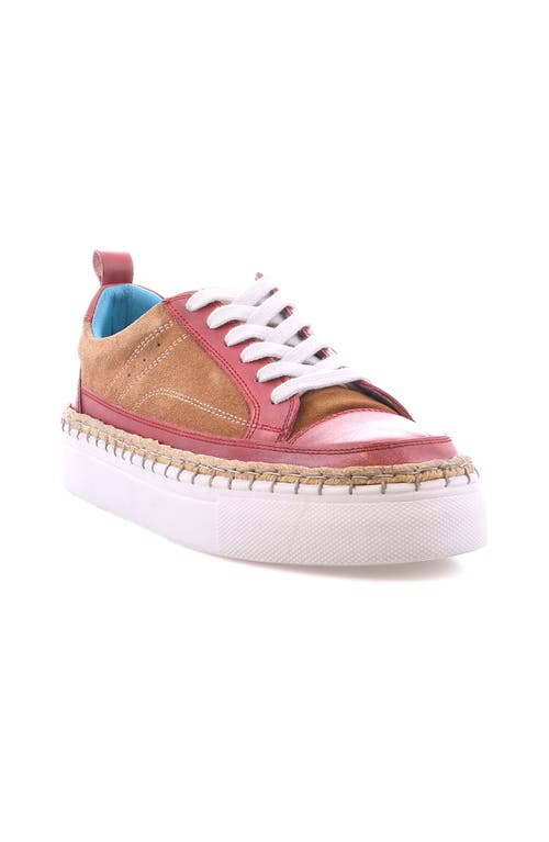 Roan Void Sneaker In Multi