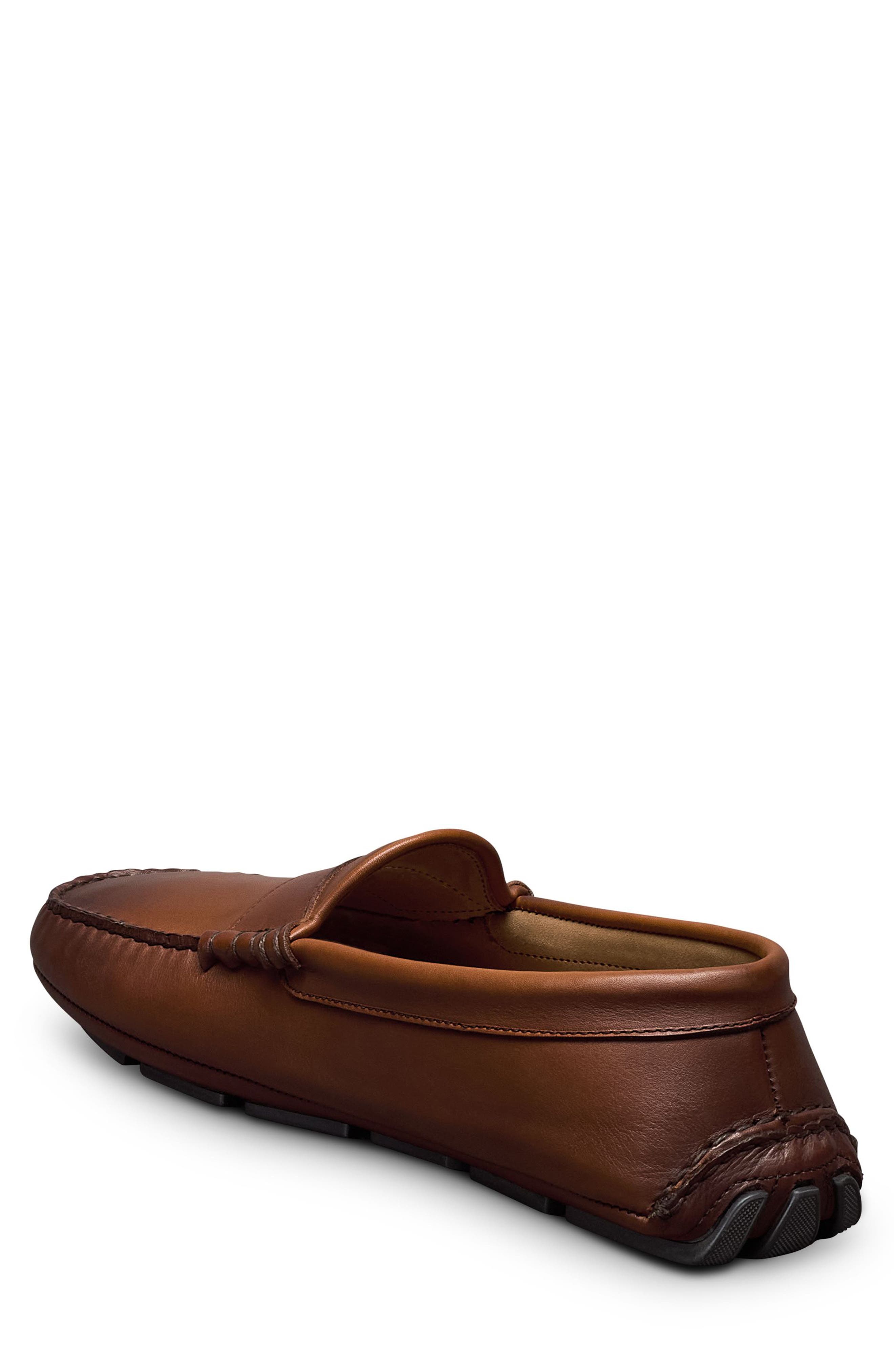Apex Driving Loafer, Alternate, color, CHILI