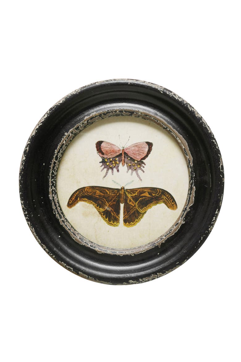 Moth and Butterfly Framed Wall Decor, Alternate, color, Black