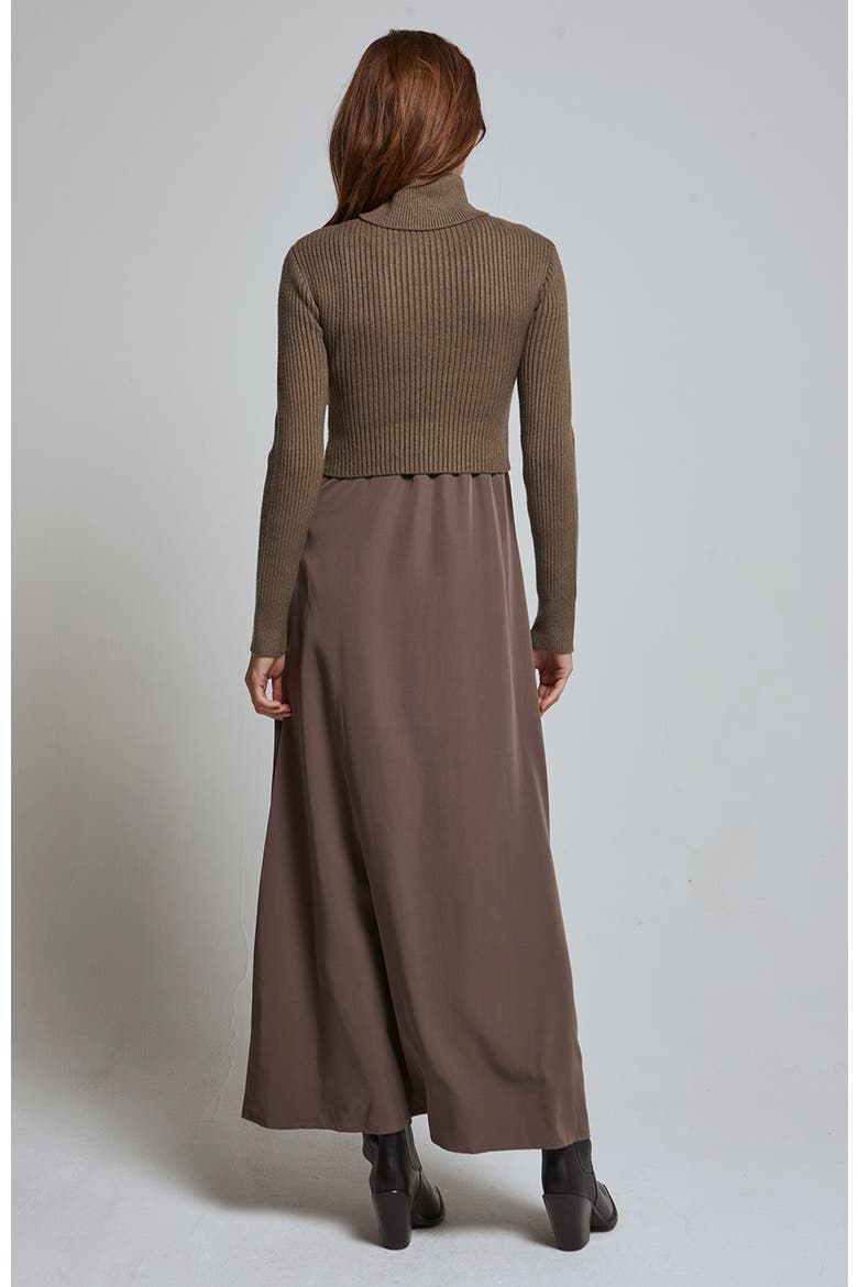 Sweater Top and Dress Set, Alternate, color, Brown