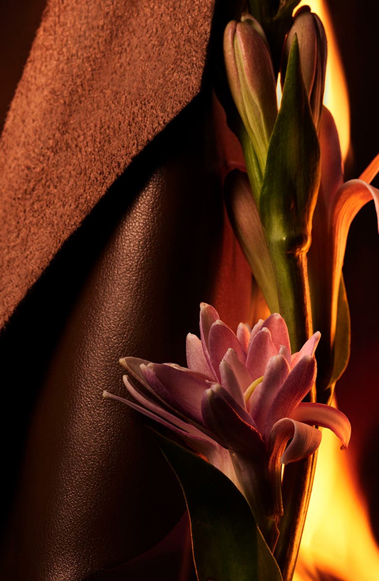 BVLGARI Man in Black Eau de Parfum, Alternate, color,