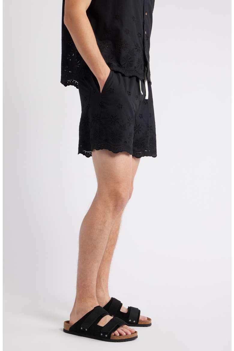 Banks Embroidered Eyelet Cotton Shorts, Alternate, color, BLACK