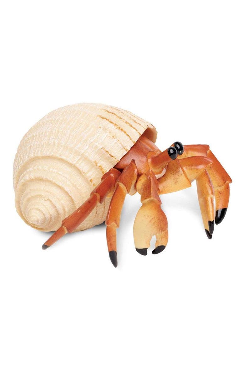 Hermit Crab Toy, Alternate, color, No Color