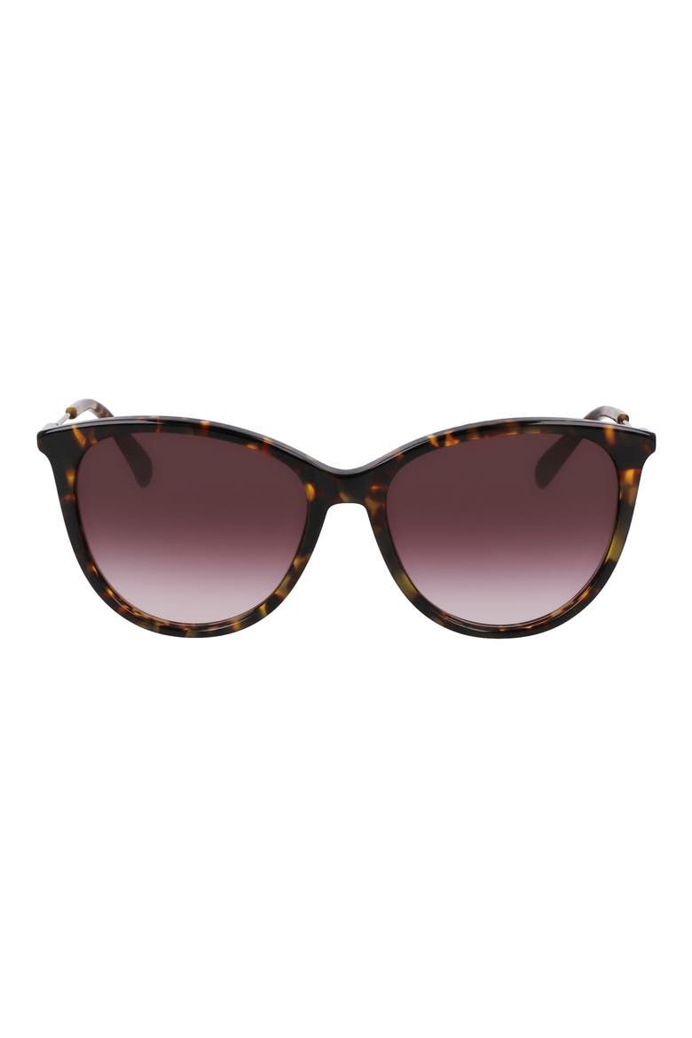 55mm Gradient Tea Cup Sunglasses, Main, color, DARK HAVANA