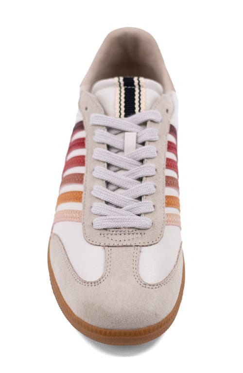 Shushop Stevie Sneaker In Multi