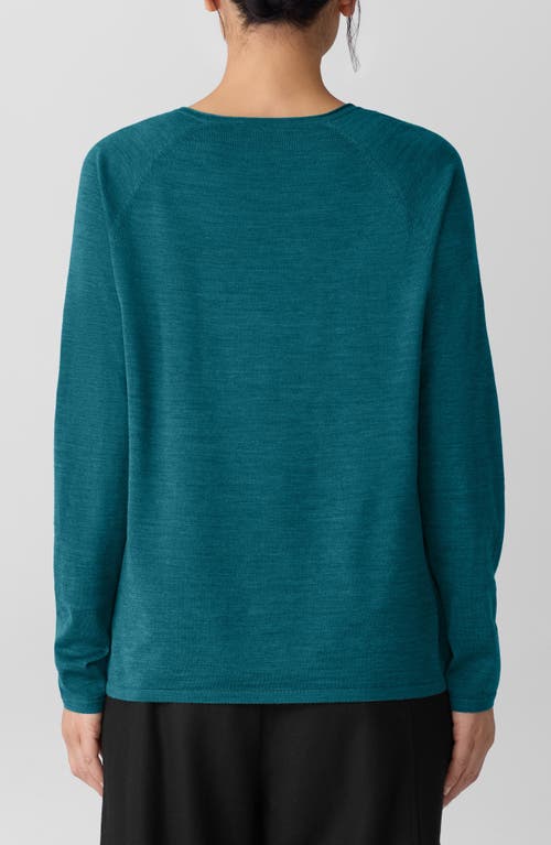 Eileen Fisher Superfine Merino Crew Neck Top In Regenerative Wool In Blue