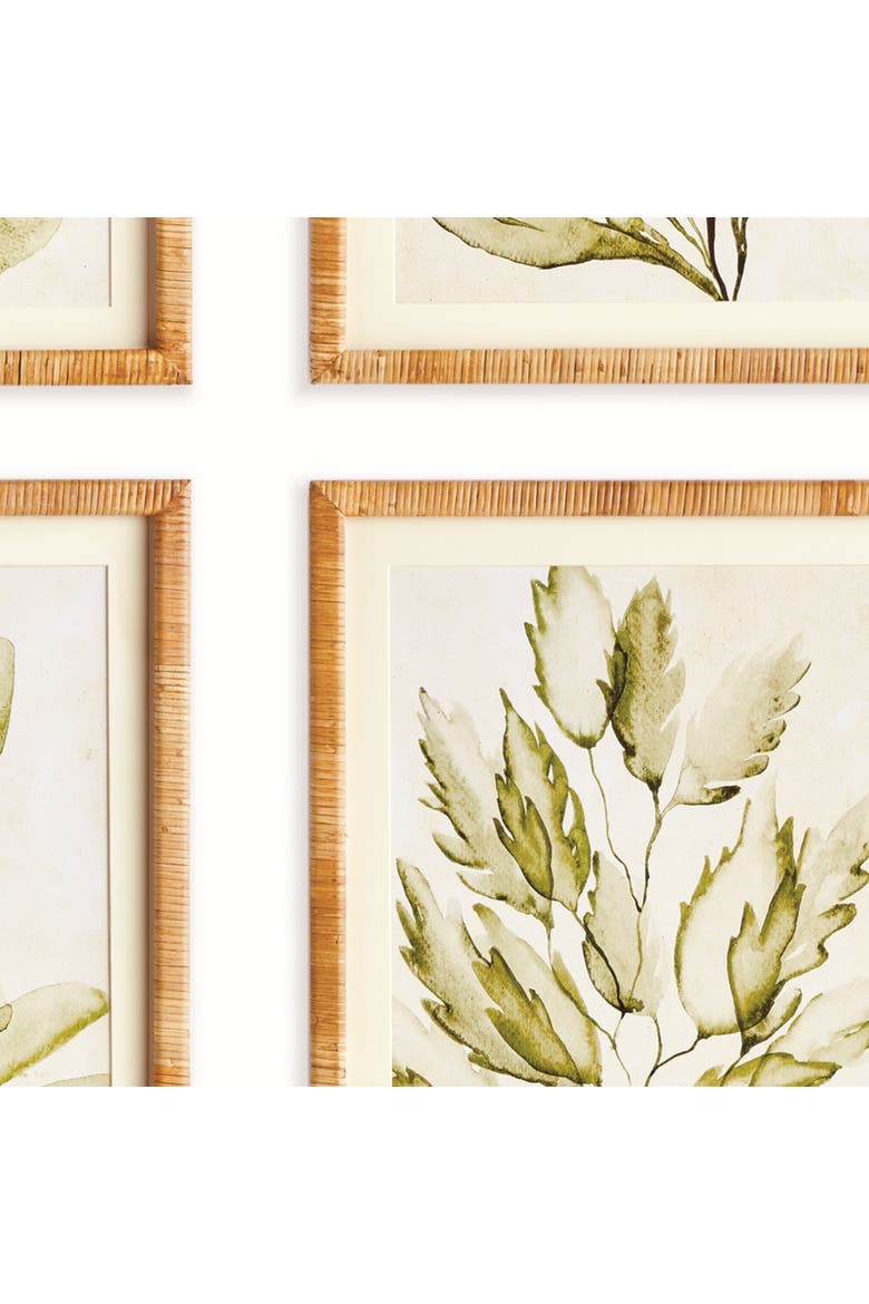 Coastal Greenery Prints, Set of 4 - Green Fir Wood Frame, Alternate, color, Green