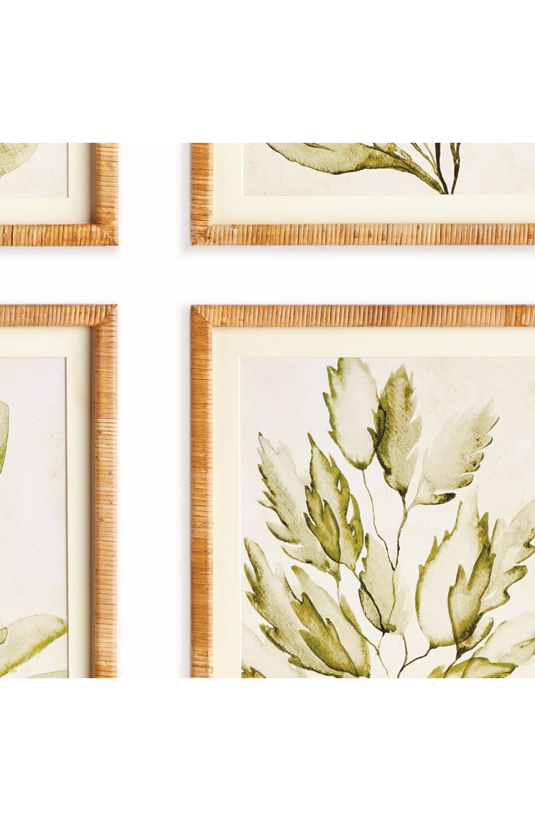 Napa Home & Garden Coastal Greenery Prints, Set of 4 - Green Fir Wood Frame, Alternate, color, Green