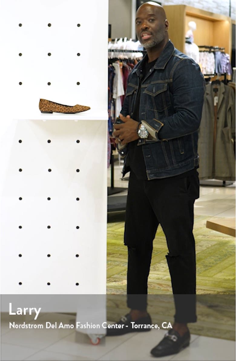 Sasha Flat, sales video thumbnail