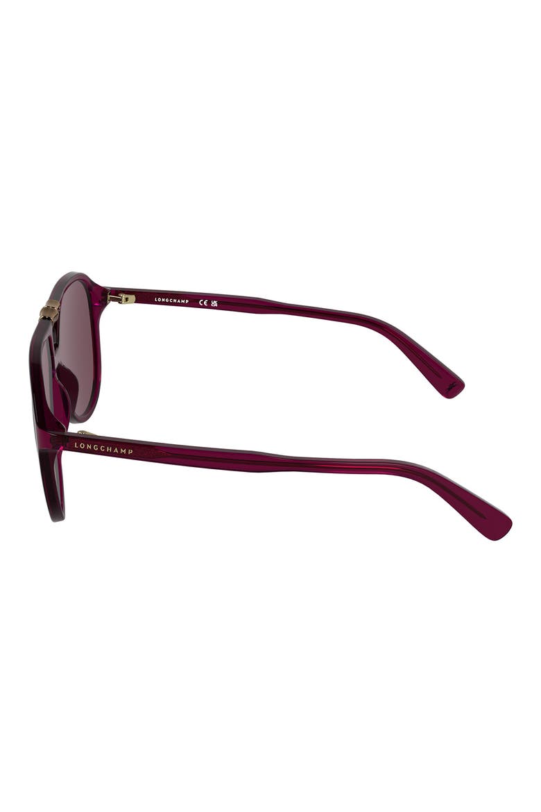Roseau 58mm Aviator Sunglasses, Alternate, color, TRANSPARENT BURGUNDY
