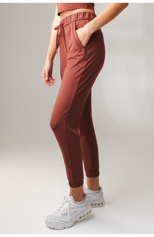 Vitality Nomad Jogger In Brown