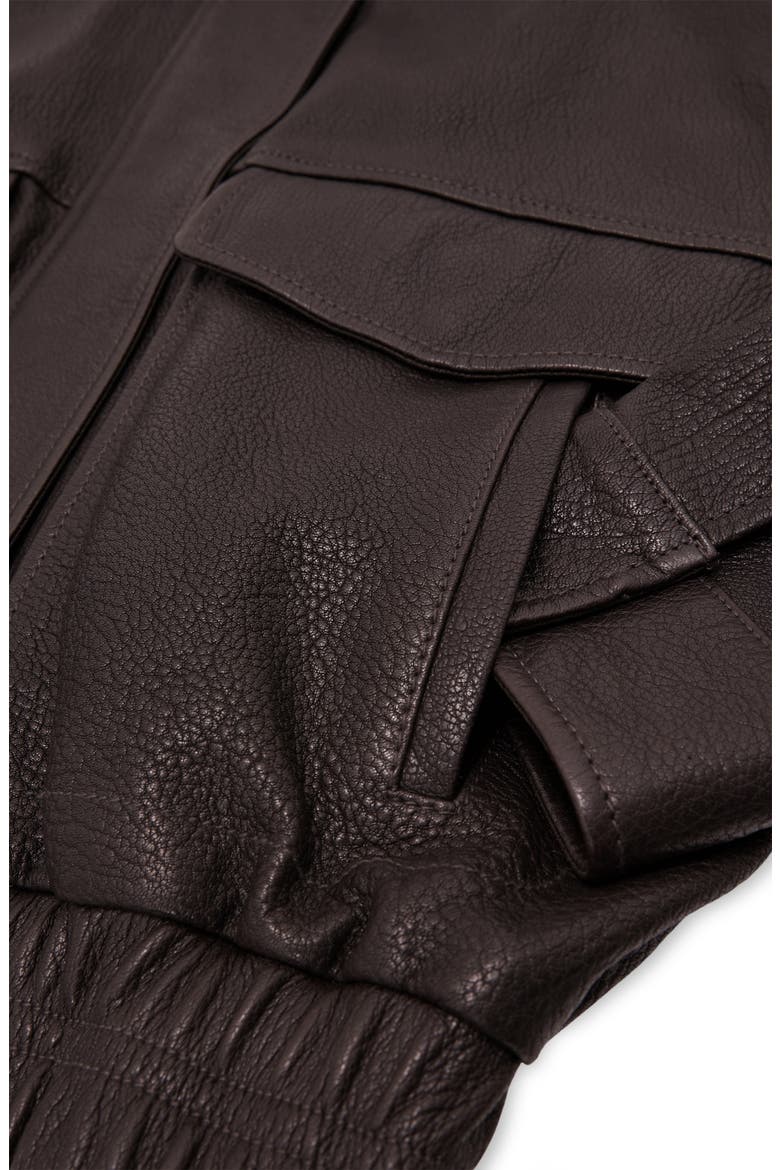 Petra Leather Jacket, Alternate, color, EBONY BROWN